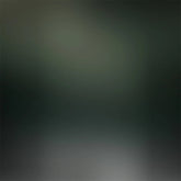 Lofaris Cold Tones Of Dark Green Photo Backdrop For Portrait